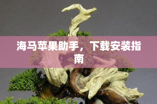 海马苹果助手图片