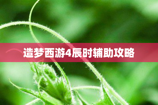 造梦西游4辰时辅助攻略图片
