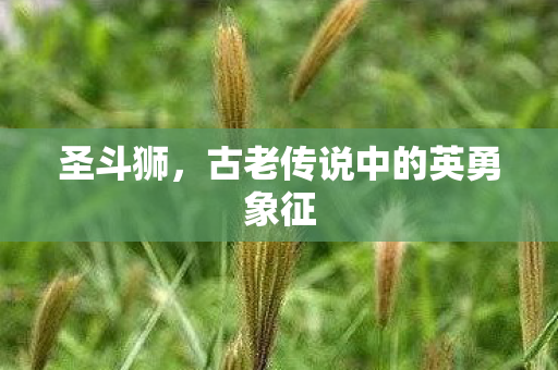 古老传说中的英勇象征图片