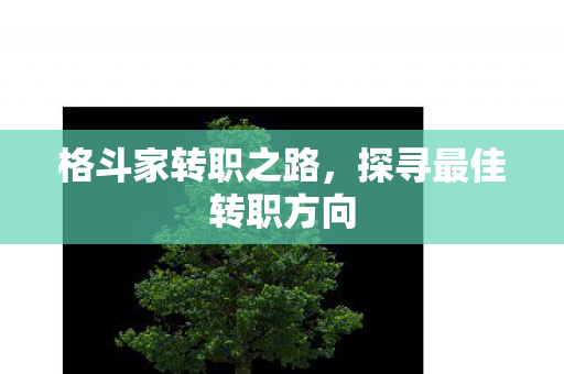 探寻最佳转职方向图片