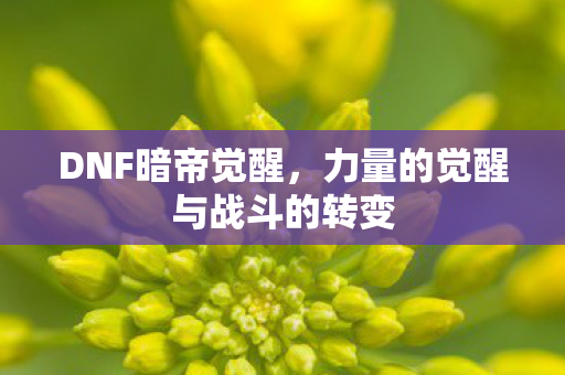 力量的觉醒与战斗的转变图片