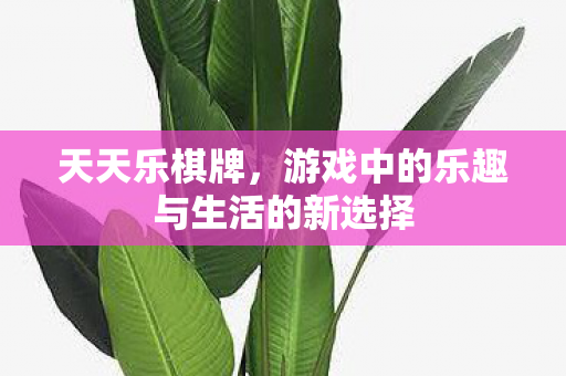 游戏中的乐趣与生活的新选择图片