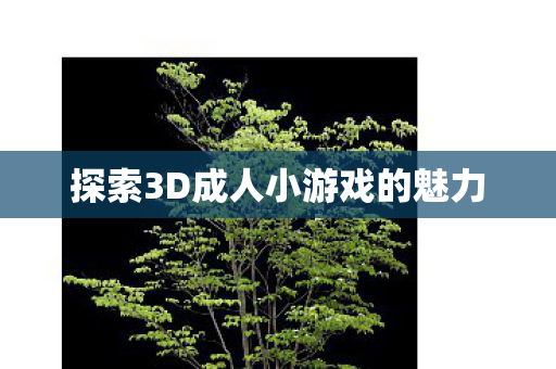 探索3D成人小游戏的魅力图片