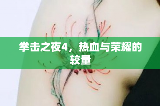 热血与荣耀的较量图片
