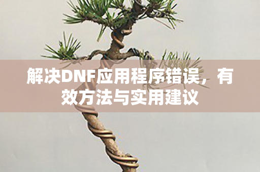 解决DNF应用程序错误图片