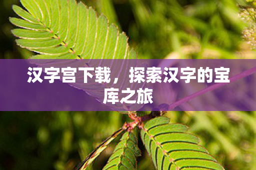 探索汉字的宝库之旅图片