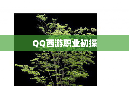 QQ西游职业初探图片