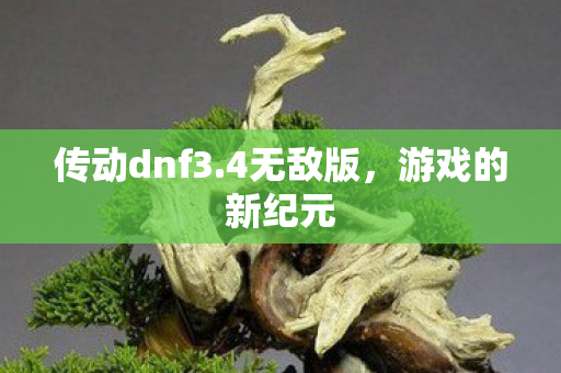 传动dnf3图片