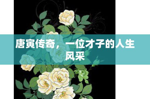 一位才子的人生风采图片