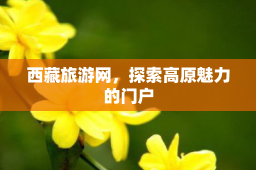 探索高原魅力的门户图片