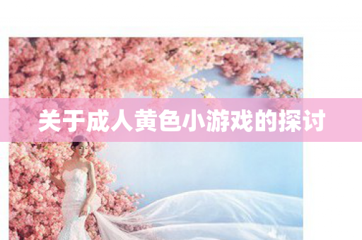 关于成人黄色小游戏的探讨图片