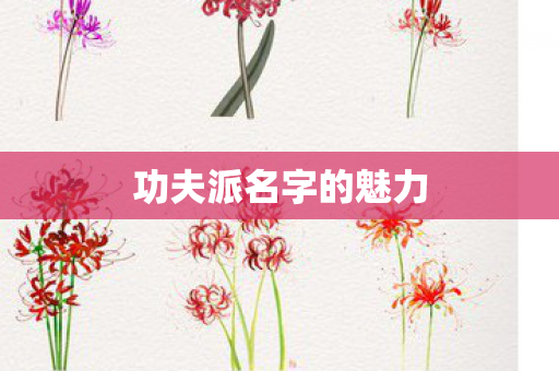 功夫派名字的魅力图片