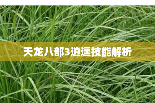天龙八部3逍遥技能解析图片