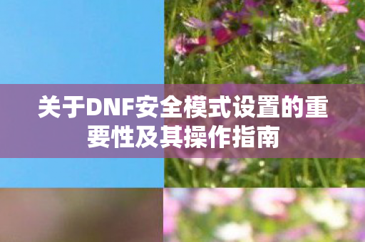 关于DNF安全模式设置的重要性及其操作指南图片
