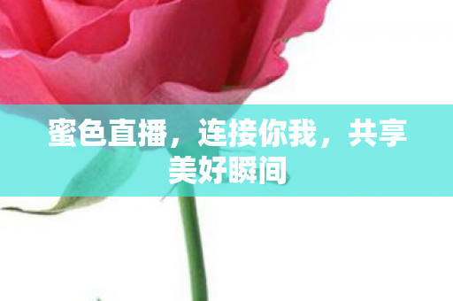 共享美好瞬间图片