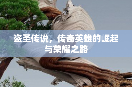传奇英雄的崛起与荣耀之路图片