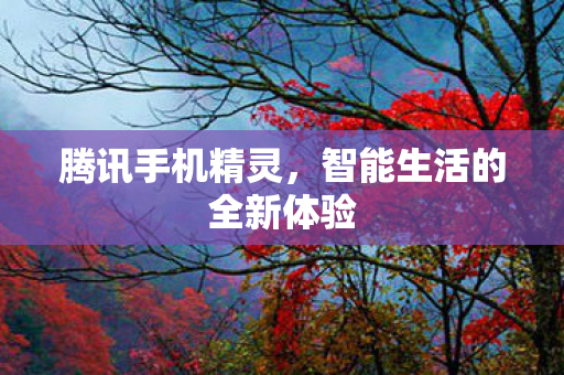 智能生活的全新体验图片