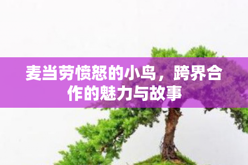 跨界合作的魅力与故事图片