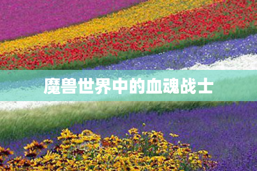 魔兽世界中的血魂战士图片