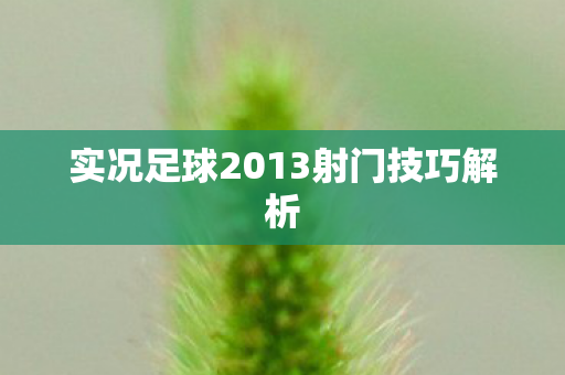 实况足球2013射门技巧解析图片