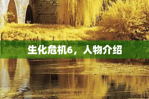 生化危机6图片