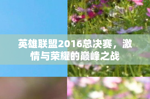 英雄联盟2016总决赛图片