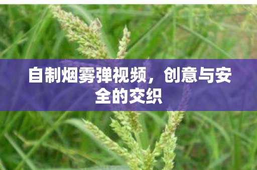 创意与安全的交织图片