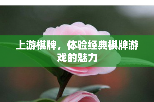 体验经典棋牌游戏的魅力图片