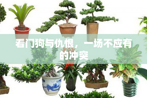 一场不应有的冲突图片