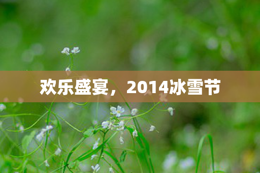 2014冰雪节图片