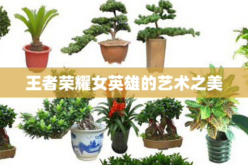 王者荣耀女英雄的艺术之美图片