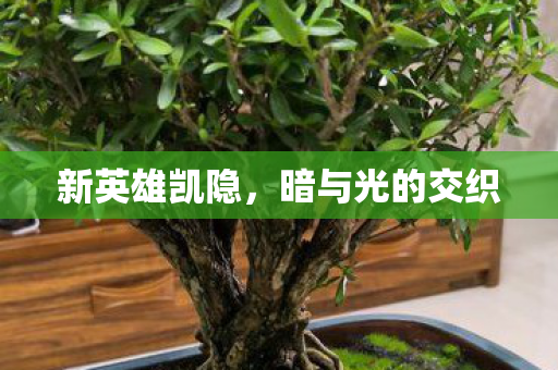 暗与光的交织图片