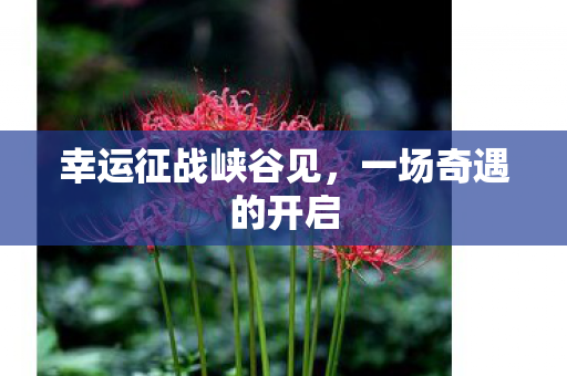 幸运征战峡谷见图片