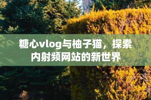 探索内射频网站的新世界图片