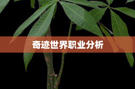 奇迹世界职业分析图片