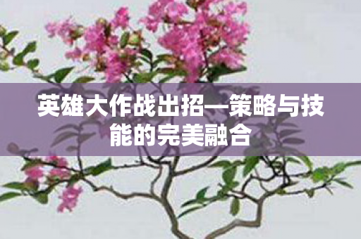 策略与技能的完美融合图片