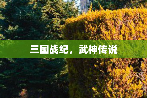 三国战纪图片