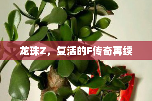 复活的F传奇再续图片