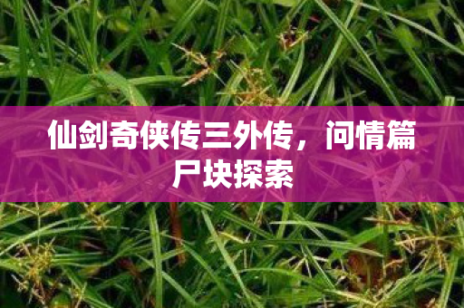 仙剑奇侠传三外传图片