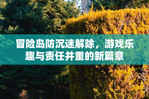 游戏乐趣与责任并重的新篇章图片