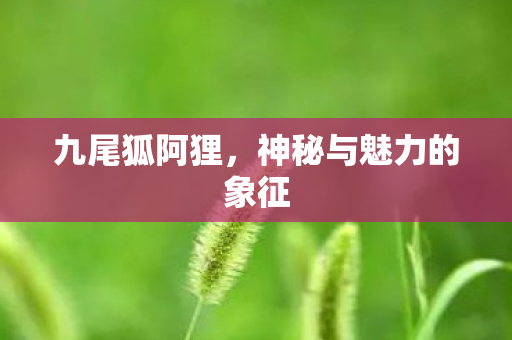 神秘与魅力的象征图片