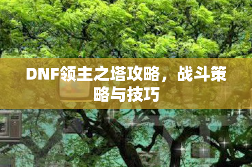 DNF领主之塔攻略图片