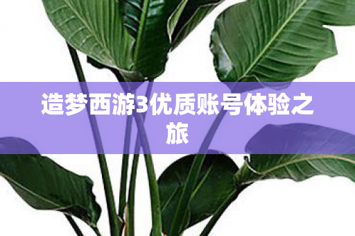 造梦西游3优质账号体验之旅图片