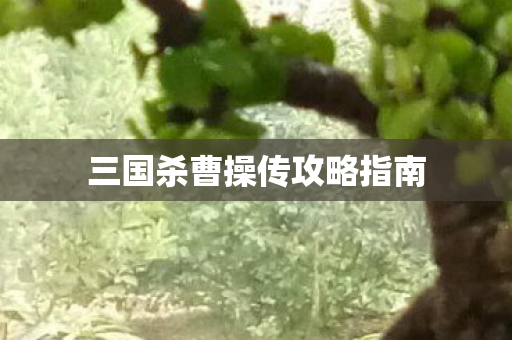 三国杀曹操传攻略指南图片