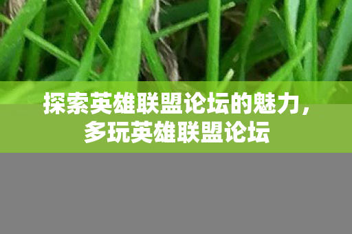 探索英雄联盟论坛的魅力图片