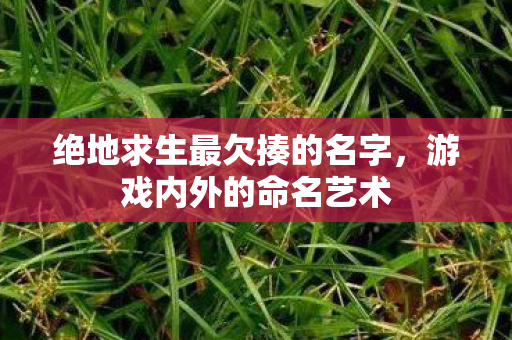 绝地求生最欠揍的名字图片
