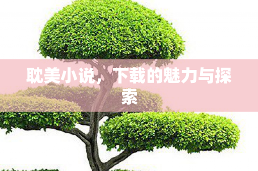 下载的魅力与探索图片