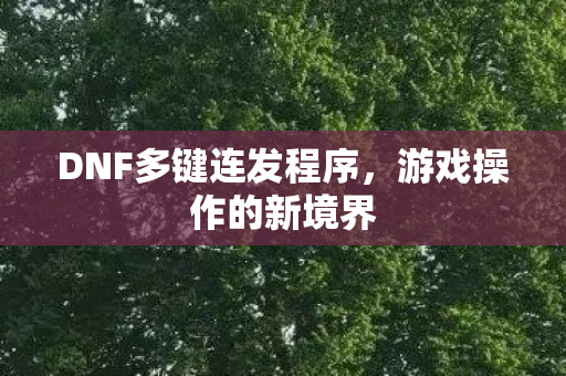 DNF多键连发程序图片