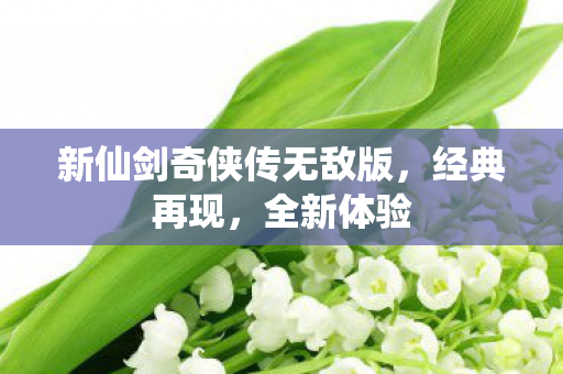 新仙剑奇侠传无敌版图片