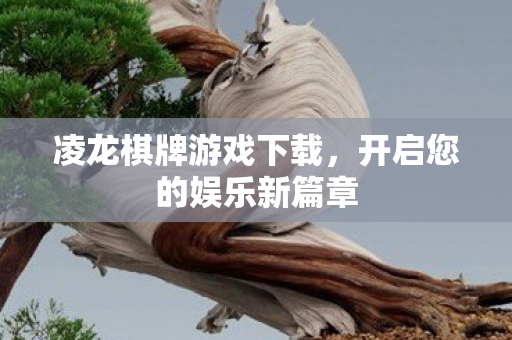 开启您的娱乐新篇章图片